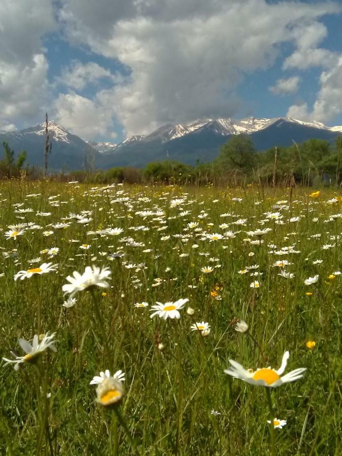 Belvedere Luxury SPA Apartments Bansko Eksteriør bilde